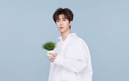 白鹿范丞丞爆料视频,娱乐圈幕后真相曝光  第1张