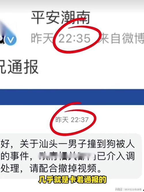 爆料博主被撞视频大全,惊心动魄!爆料博主被撞现场视频大盘点 第1张 爆料博主被撞视频大全,惊心动魄!爆料博主被撞现场视频大盘点 第1张